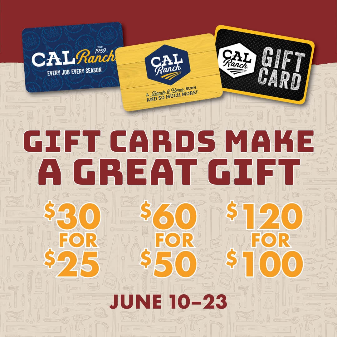 GIFT CARDS MAKE A GREAT GIFT $30 FOR $25 $60 FOR $50 $120 FOR $100 JUNE 10-23