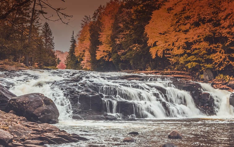 Fall Hunting Guide Mobile