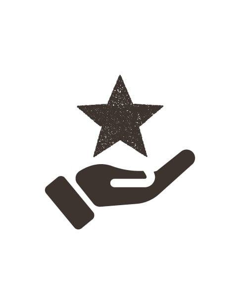 Star in Hand Icon