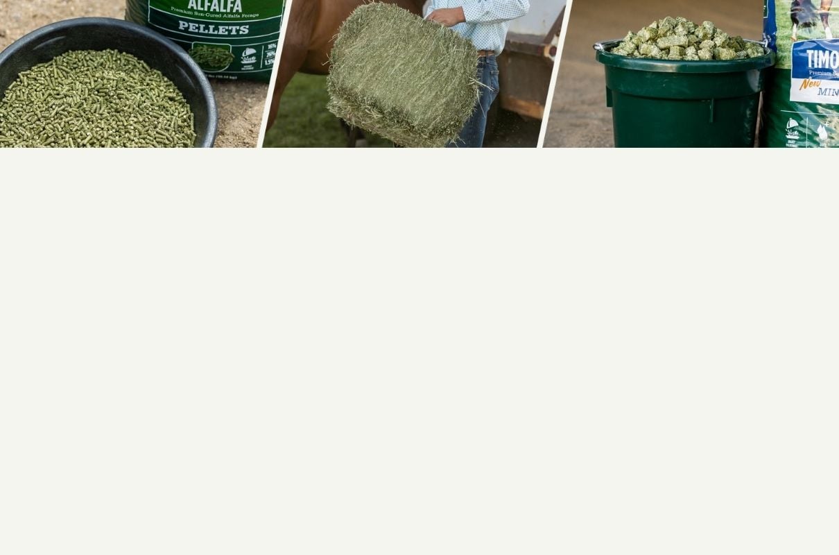 Hay products