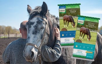 Whole Nutrition for Your Senior Horses