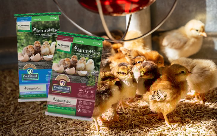Nutrena NatureWise Medicated & Non-Medicated Chick Starter Grower