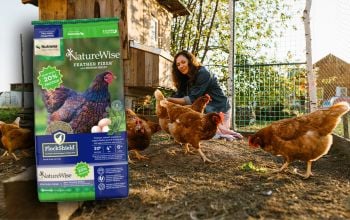 Nutrena NatureWise Feather Fixer