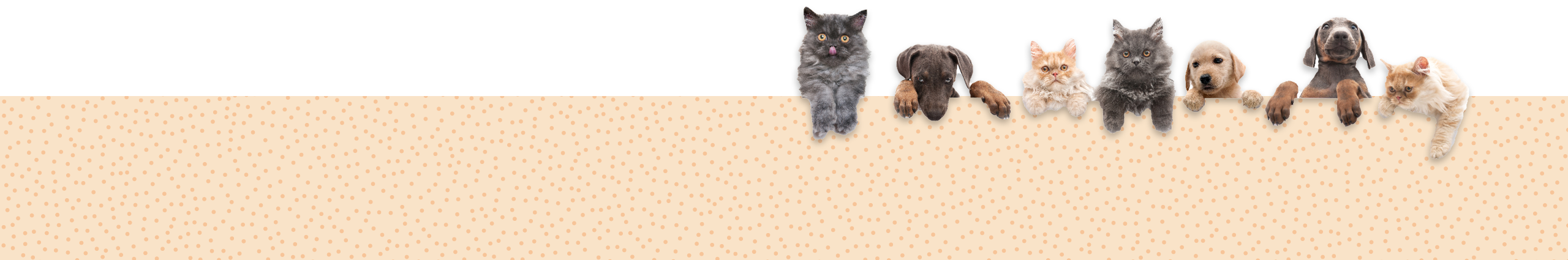 Pet Guide Desktop