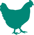 More about hens divider