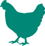 More about our hens divider