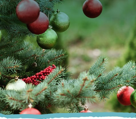 Holiday Gift Guide Mobile