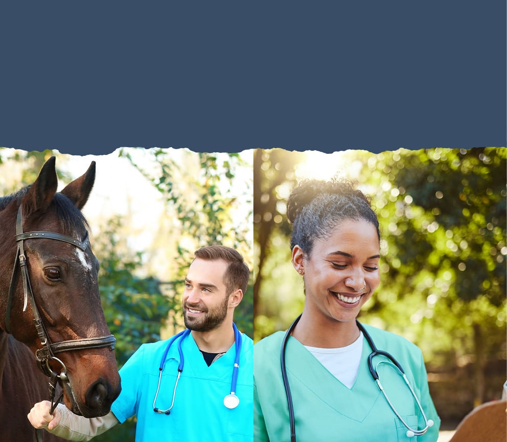 HEALTHCARE mobile