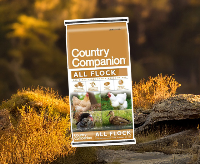 $3 OFF All Flock & Egg Layer