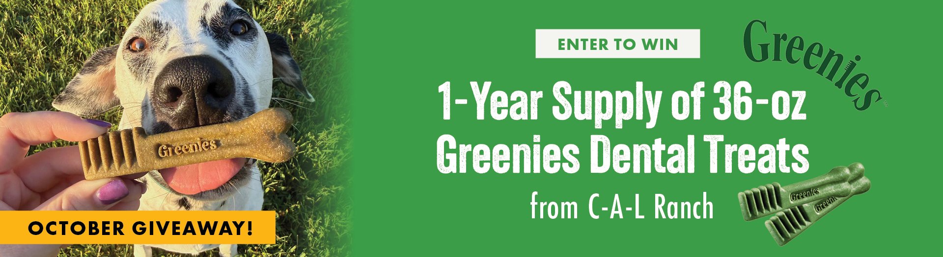 Greenies Dental Treats Giveaway