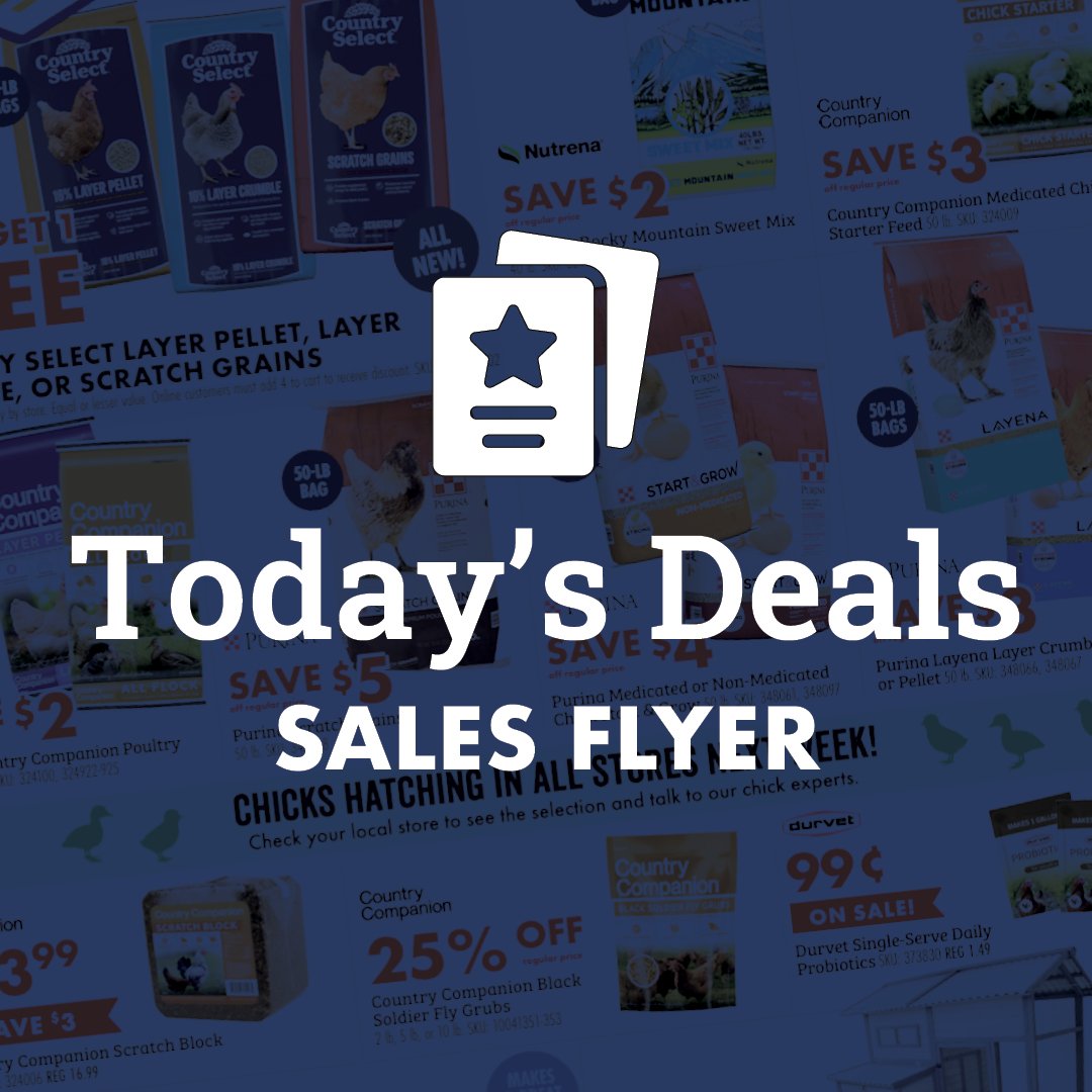 Today's Deals Sales Flyer