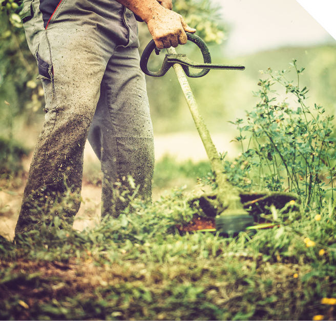 Lawn Equipment