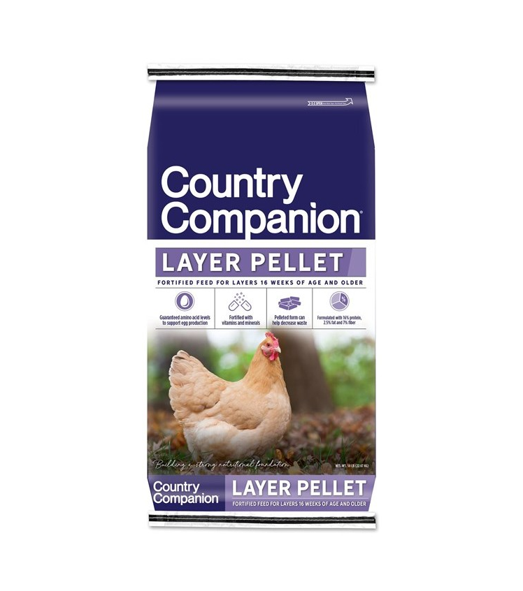 Chicken Feed 5 OFF 20 or More