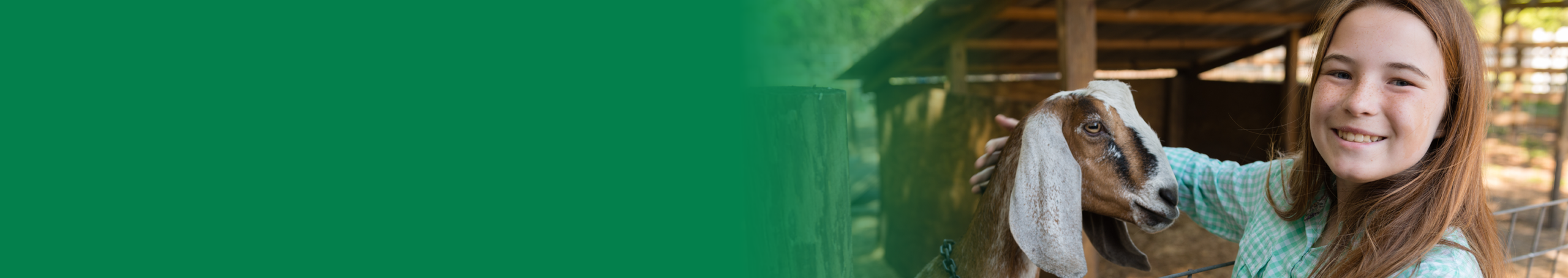 4-H Program
