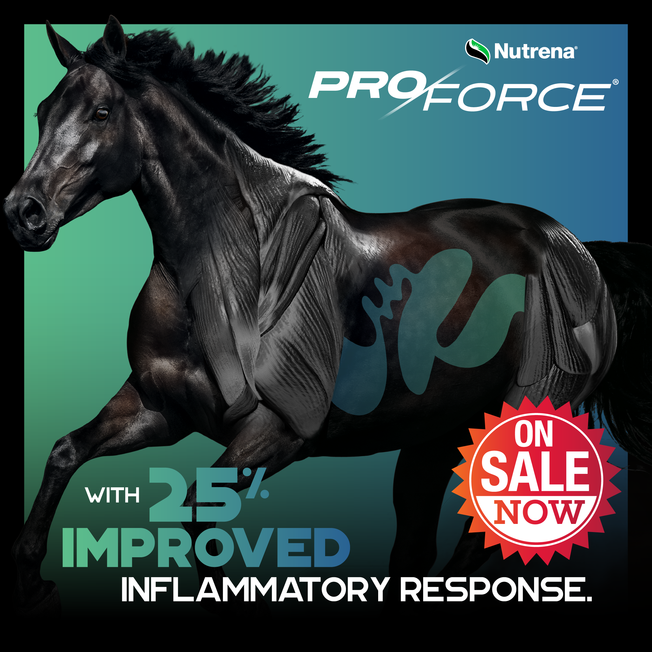 Nutrena ProForce with 25% Improved Inflammatory Response ON SALE NOW