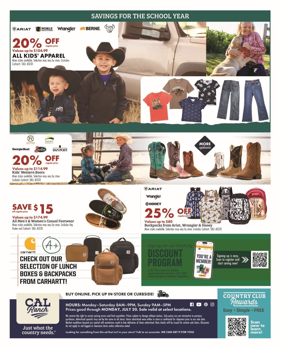 Arizona Flyer Page 2