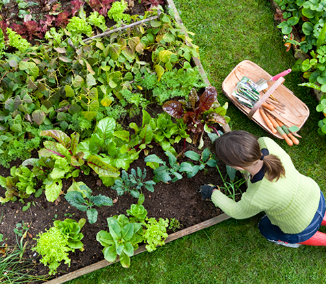 Lawn & Garden Guide Mobile Image