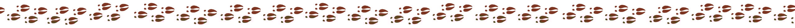Animal Footprints Across the Page