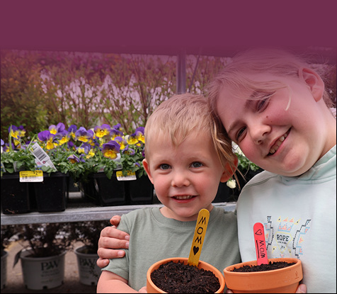 Plant a Pot