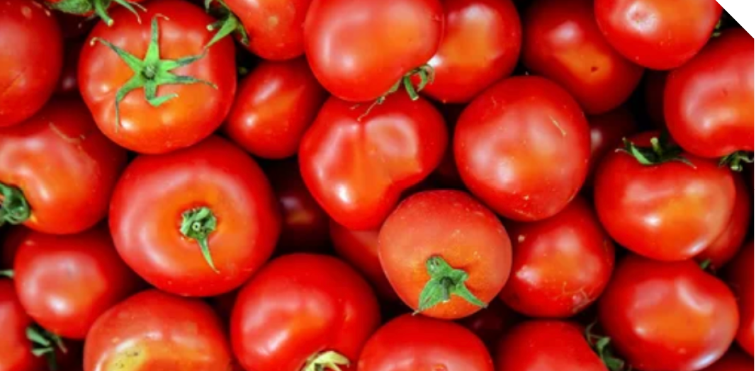 Tomatoes