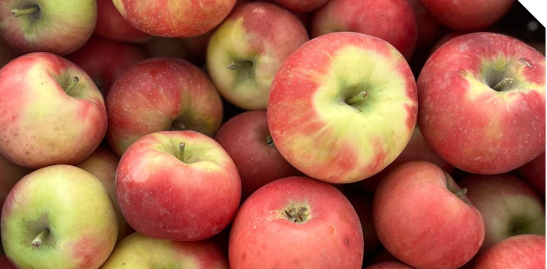 Apples
