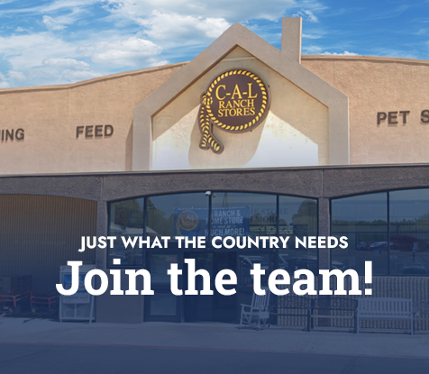 Just What the Country Needs Join the Team!