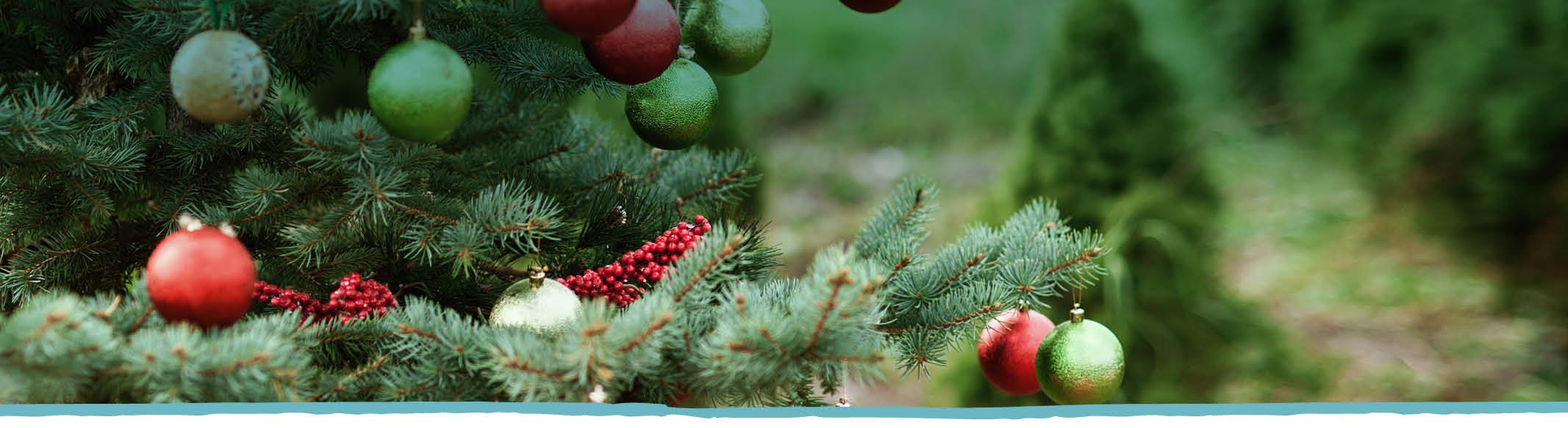 Holiday Gift Guide Desktop