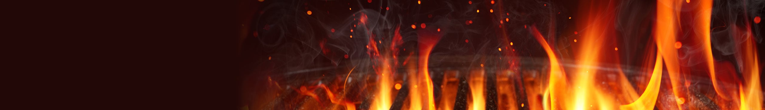 Grilling Guide HTML banner