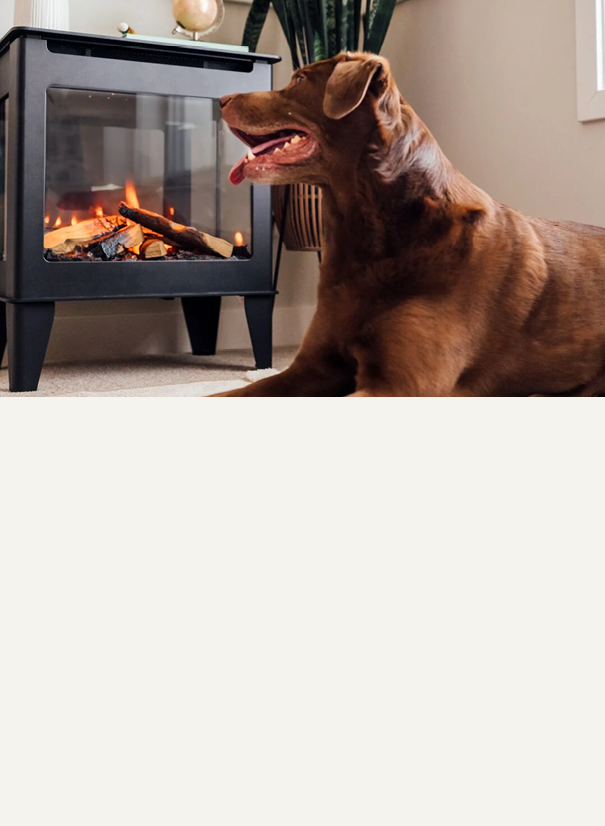Electric Stoves