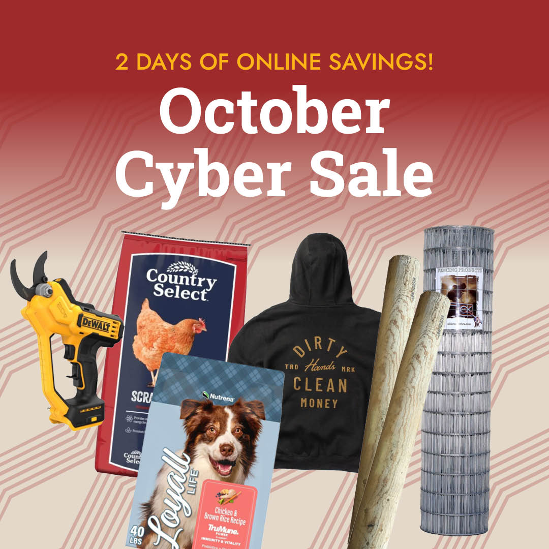 2 Days of Online Savings! October Cyber Sale