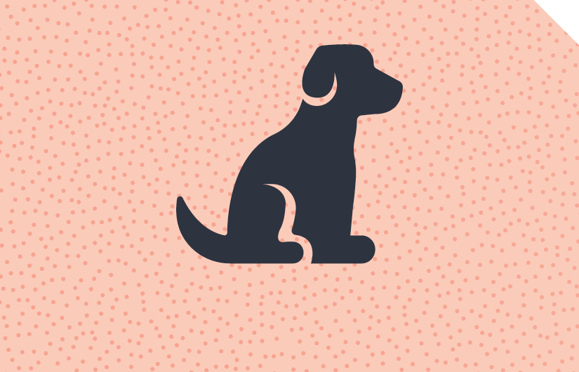 Dog Training