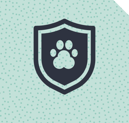 Cat Health