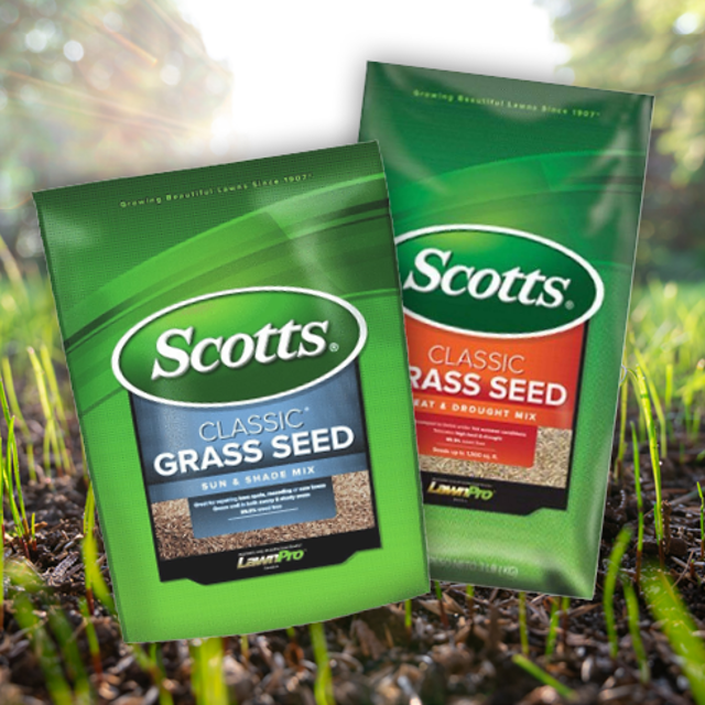 20 OFF All Scotts Grass Seed
