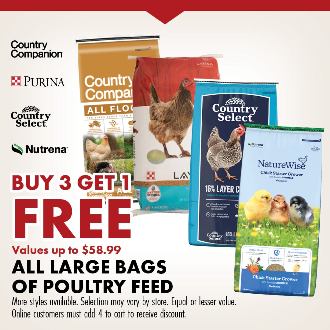 Country Companion PURINA Country Select Nutrena BUY 3 GET 1 FREE Values up to $58.99 ALL LARGE BAGS OF POULTRY FEED More styles available. Selection may vary by store. Equal or lesser value. Online customers must add 4 to cart to receive discount. 