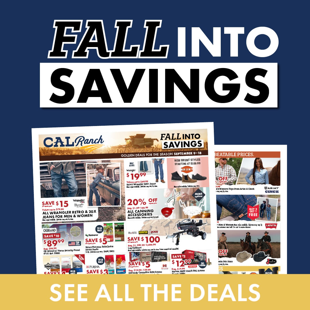 FALL INTO SAVINGS SEE ALL THE DEALS