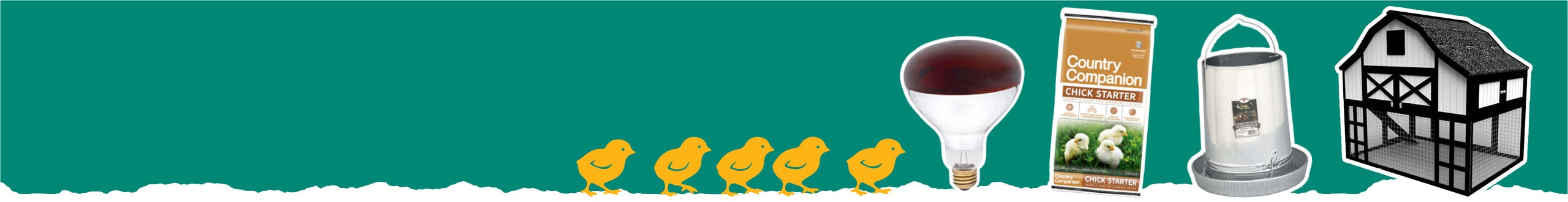 Chick Guide