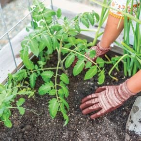 Gardening