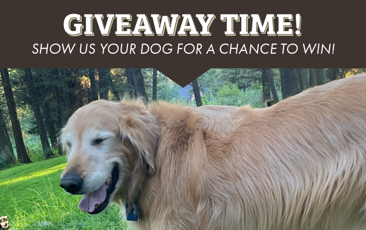 GIVEAWAY TIME! SHOW US YOUR DOG FOR A CHANCE TO WIN