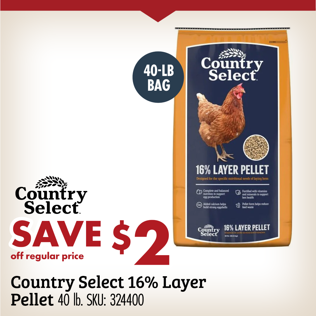 SAVE $2 off regular price Country Select 16% Layer Pellet 40 lb. SKU: 324400