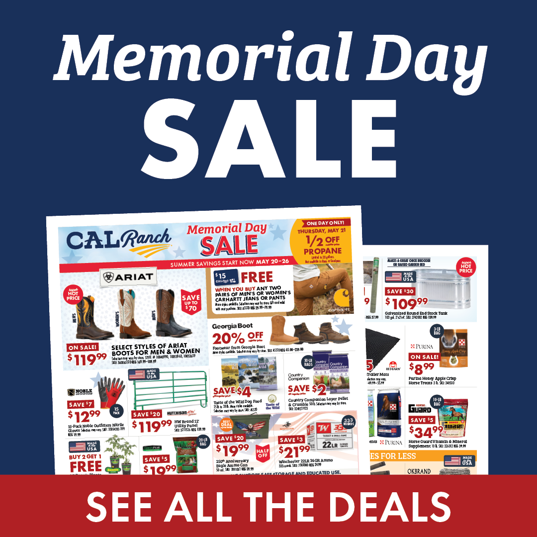 Memorial Day SALE SEE ALL THE DEALS