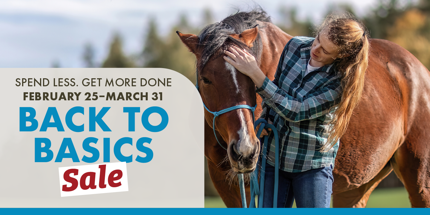 SPEND LESS. GET MORE DONE FEBRUARY 25-MARCH 31 BACK TO BASICS SALE