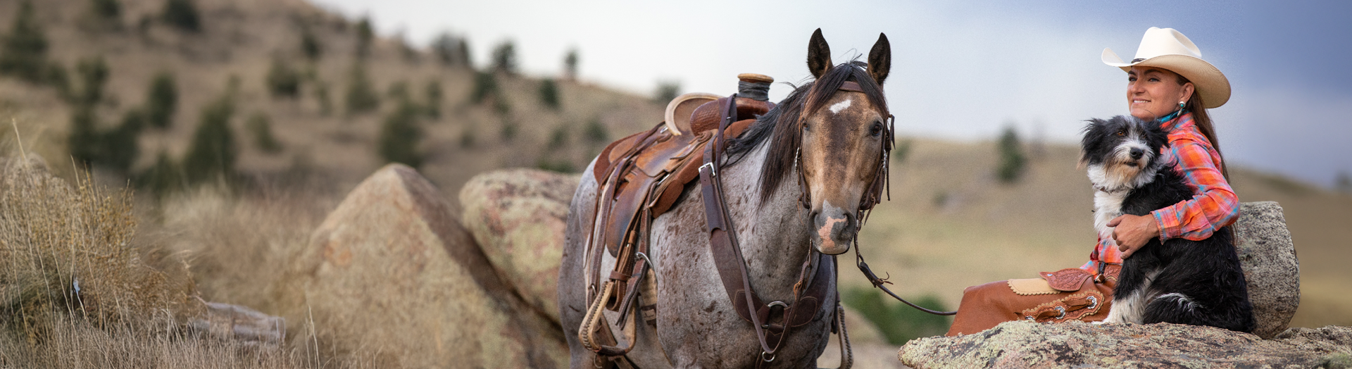 Seasonal MUST-HAVES for Less!