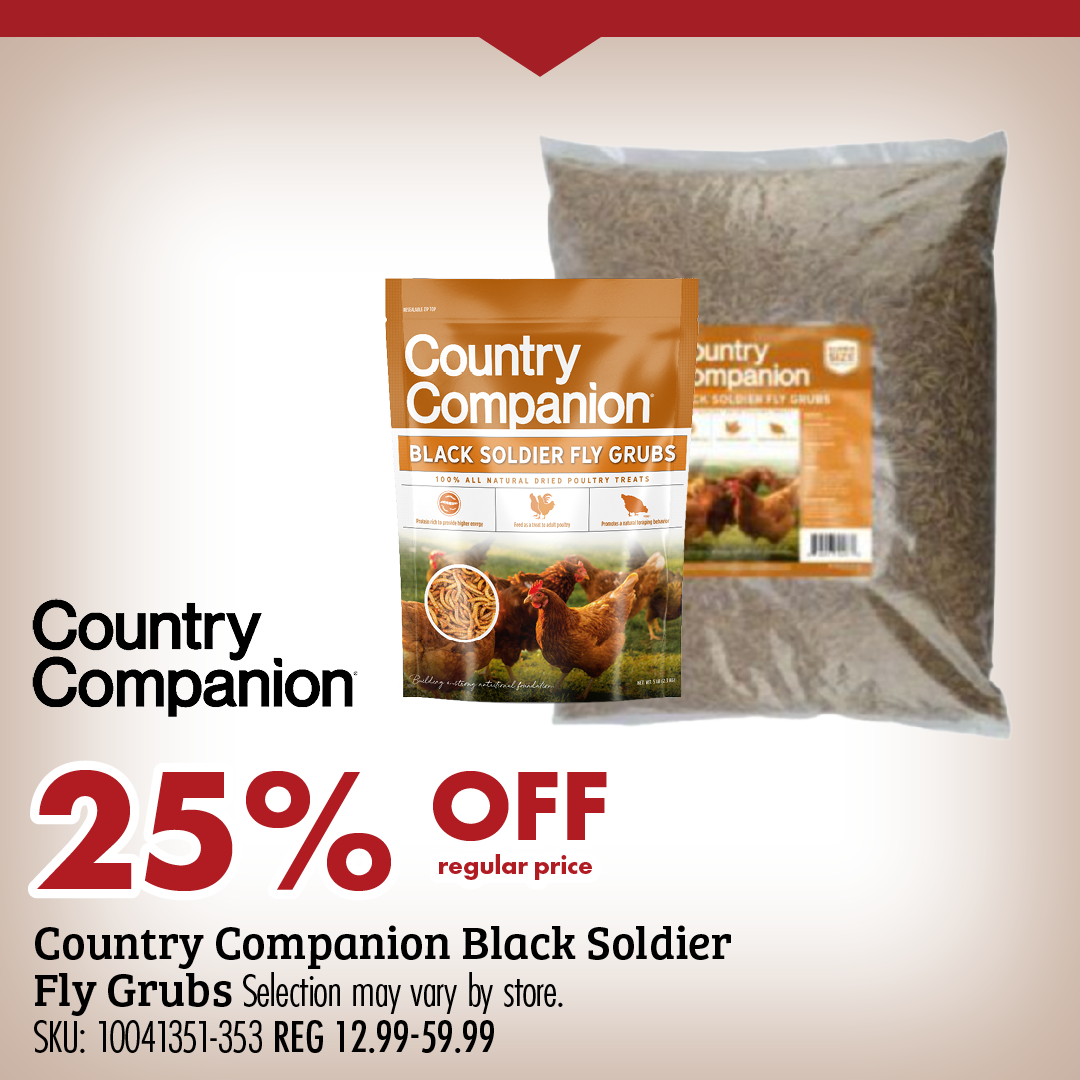 Country Companion Black Soldier Fly Grubs