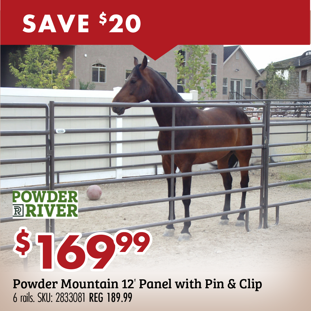SAVE $20 $169.99 Powder Mountain 12' Panel with Pin & Clip 6 rolls. SKU: 2833081 REG 189.99