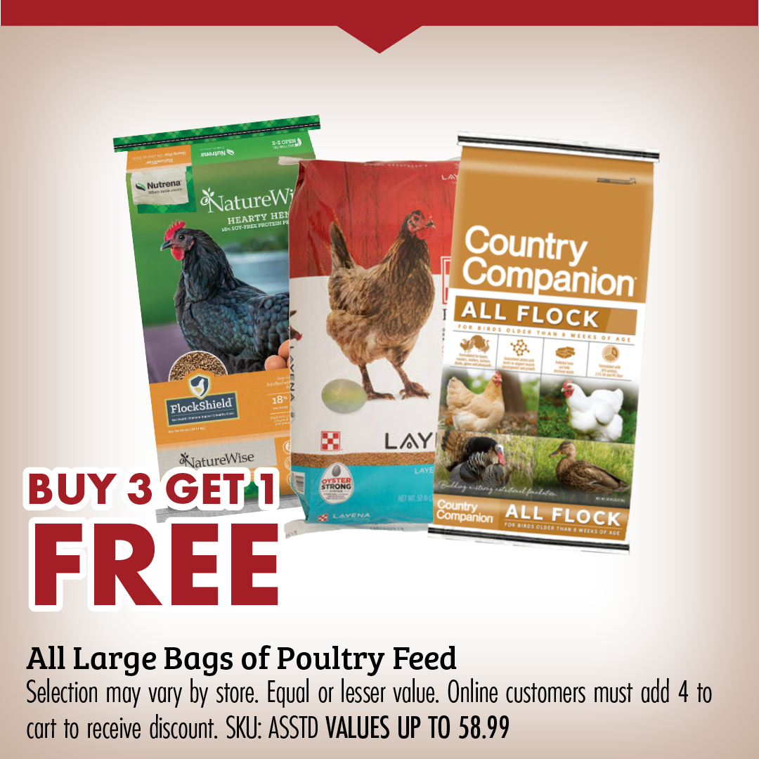 BUY 3 GET 1 FREE All Large Bags of Poultry Feed
