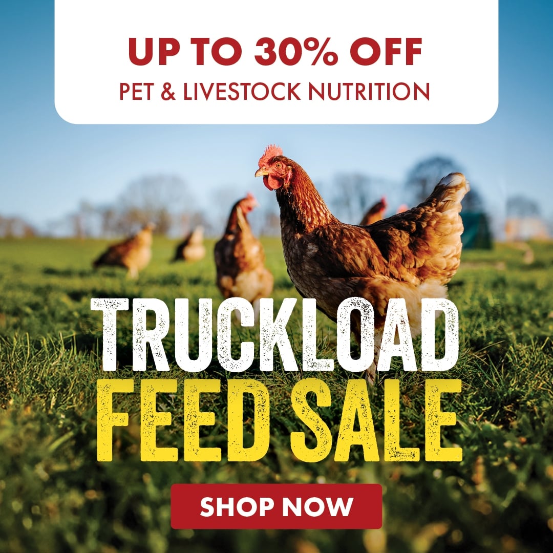 UP TO 30% OFF PET & LIVESTOCK NUTRITION TRUCKLOAD FEED SALE SHOP NOW