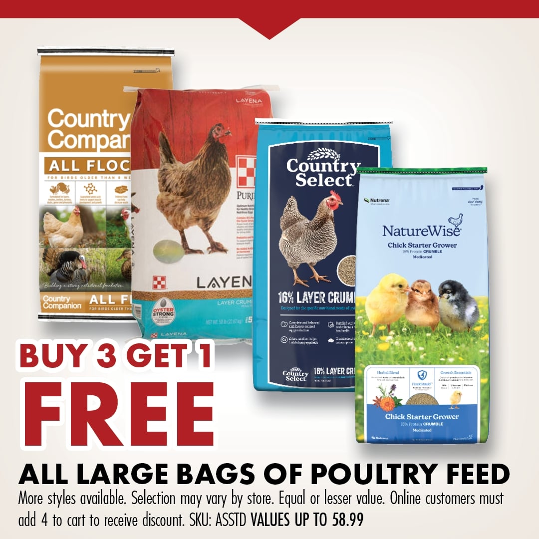 BUY 3 GET 1 FREE ALL LARGE BAGS OF POULTRY FEED More styles available. Selection may vary by store. Equal or lesser value. Online customers must add 4 to cart to receive discount. SKU: ASSTD VALUES UP TO 58.99
