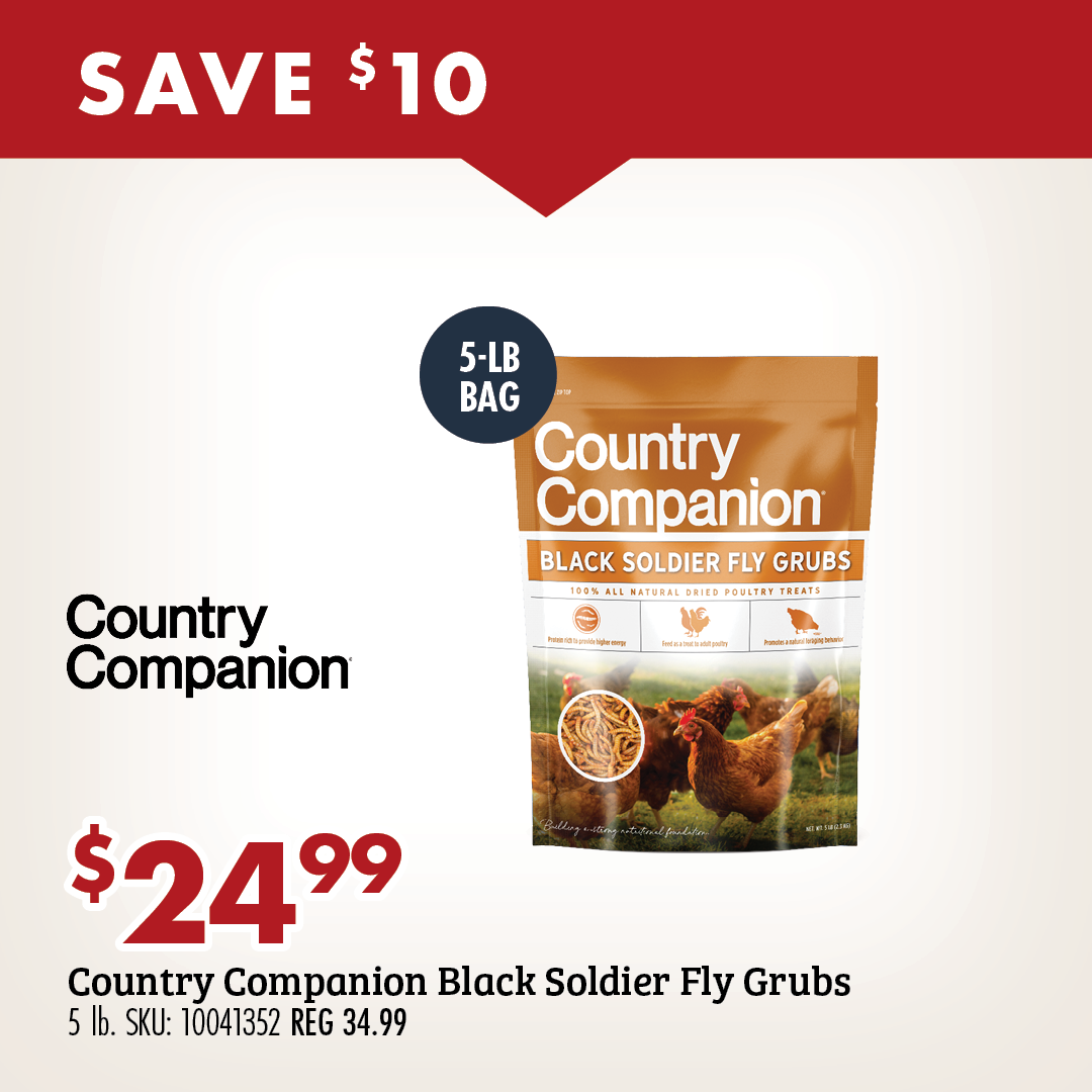 SAVE $10 $24.99 Country Companion Black Soldier Fly Grubs 5 lb. SKU: 10041352 REG 34.99
