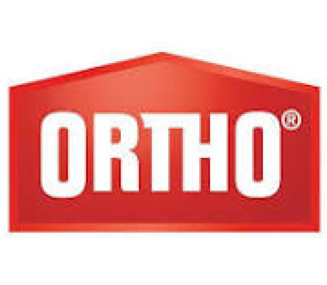 Ortho