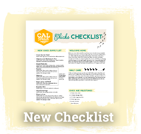 New Chick Checklist Image & Button